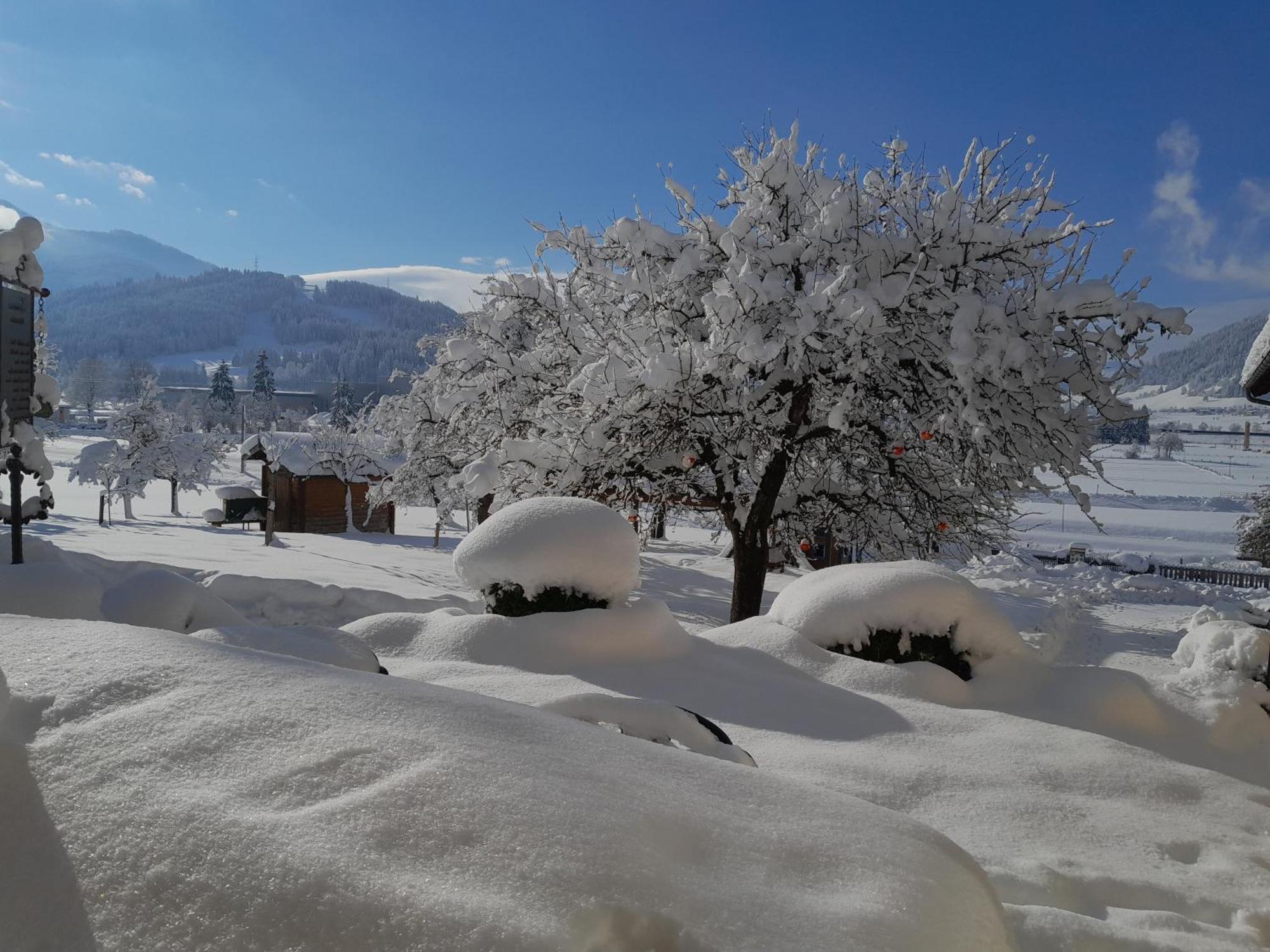 Bauernhofurlaub Sinnhubgut Altenmarkt im Pongau Eksteriør billede